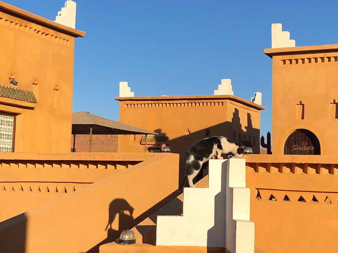 Kasbah Isfoula and Spa主图