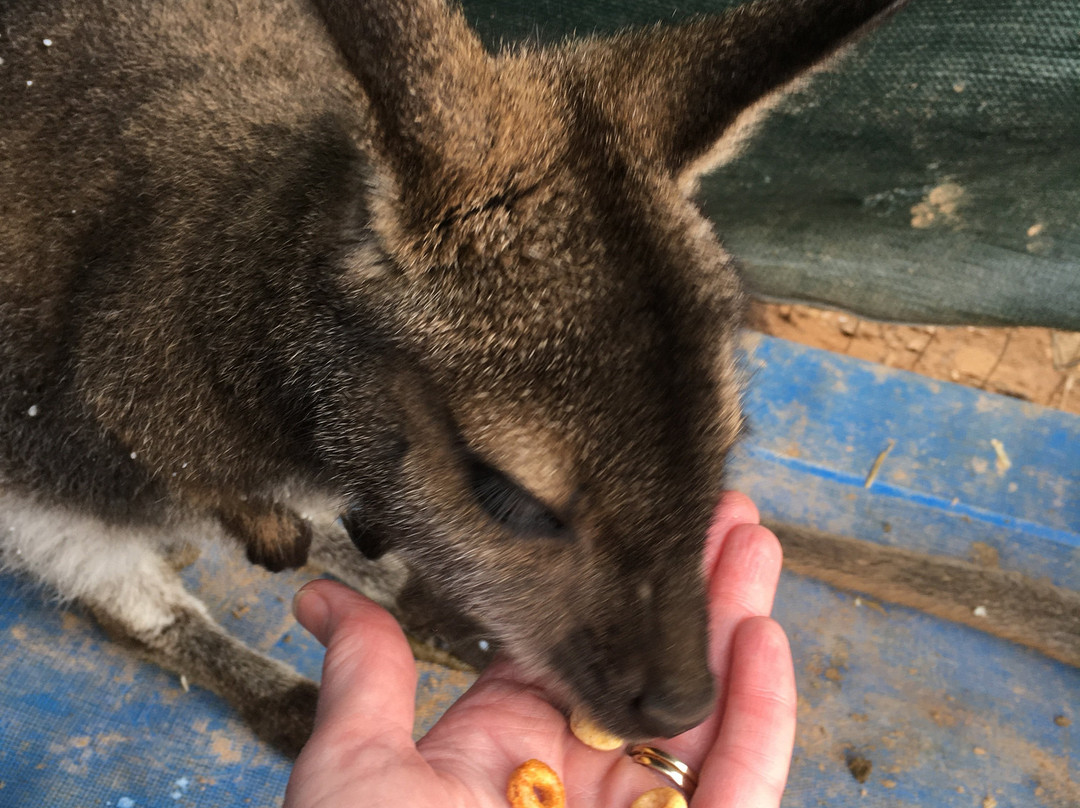 Roos2u-Germantown必去景点