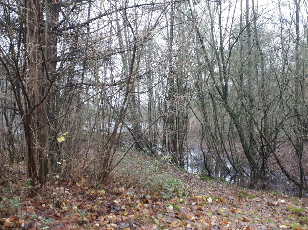 Center Parcs Bispinger Heide主图