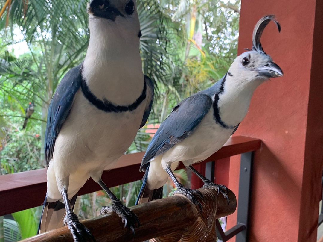 Hotel El Manglar主图