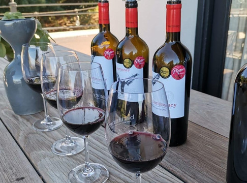 Basewent-斯泰伦博斯必去景点