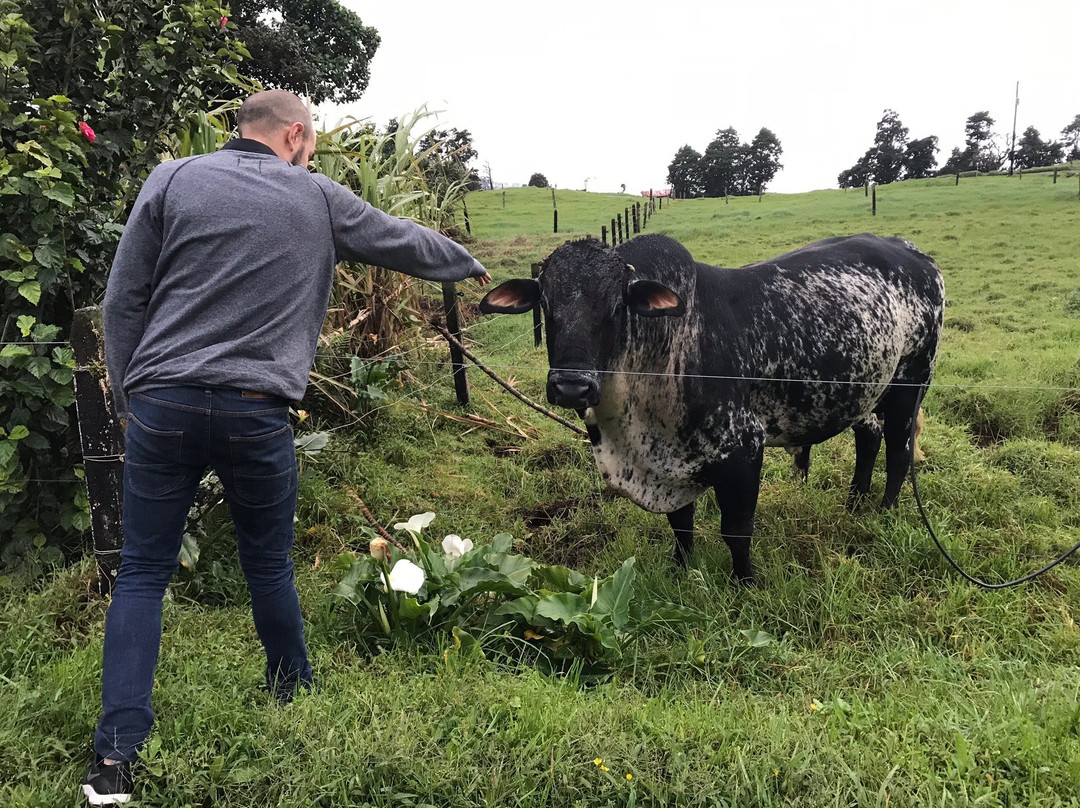 San Vicente HideAway主图