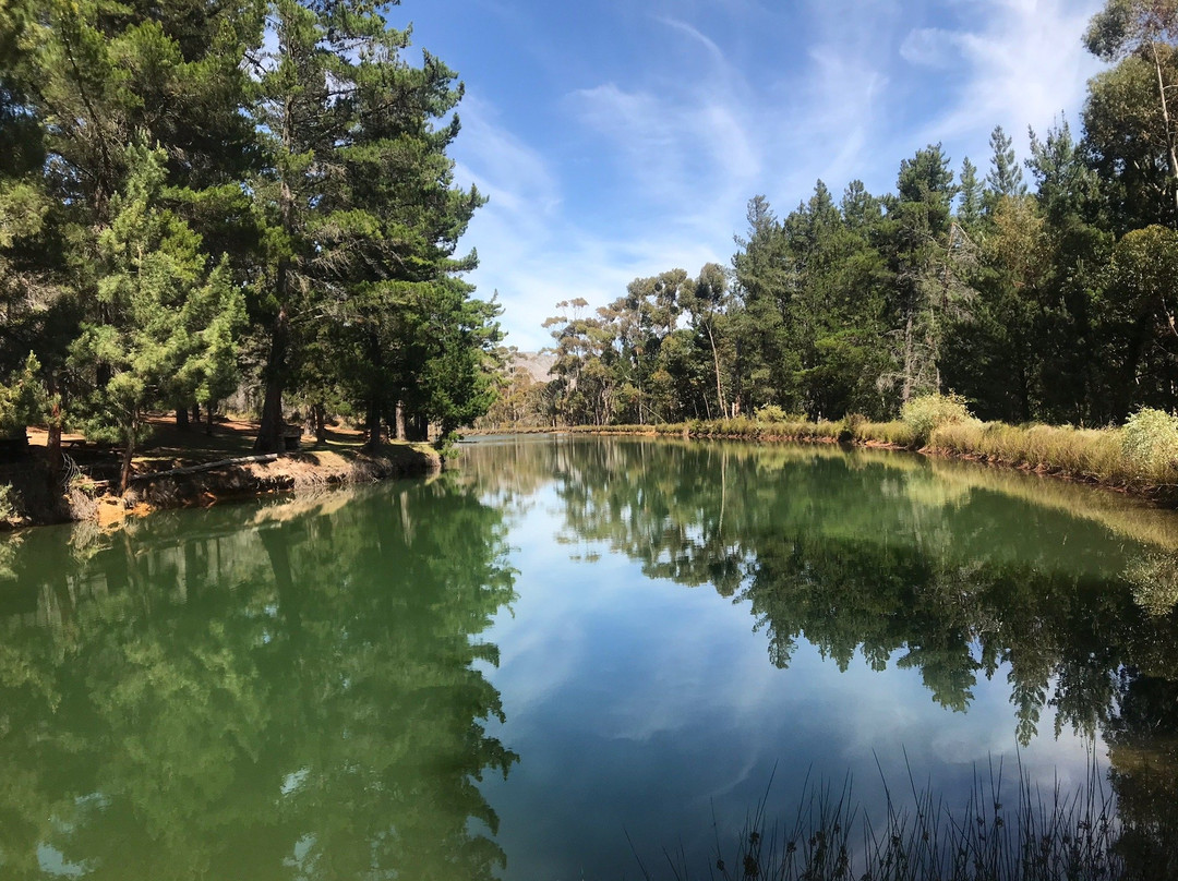 Montagu Tractor Ride-蒙提古必去景点