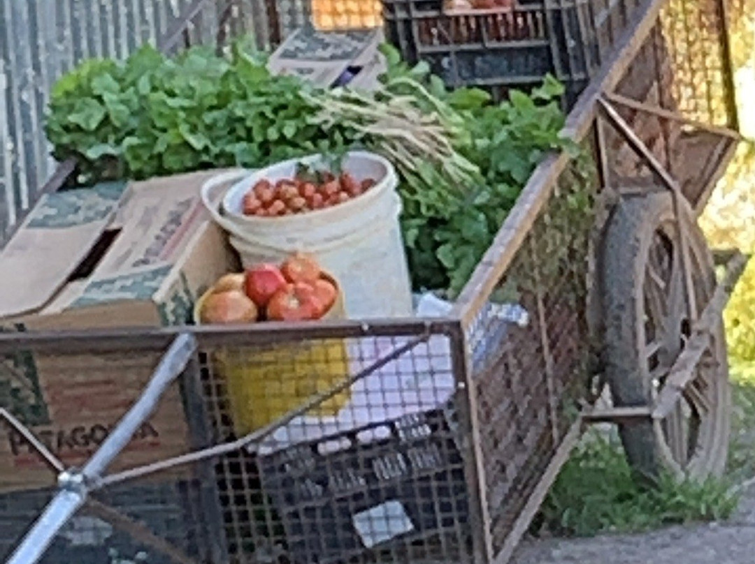 Rio de Hudson-Berazategui必去景点