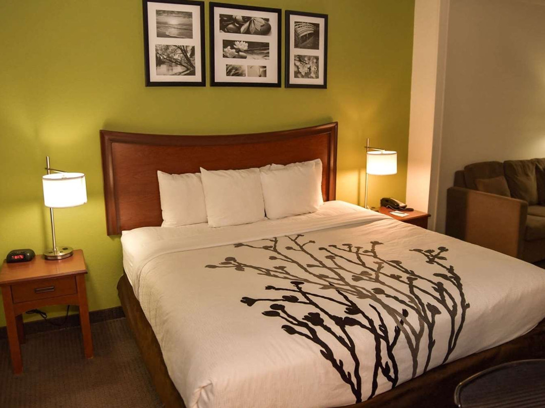 Sleep Inn & Suites主图