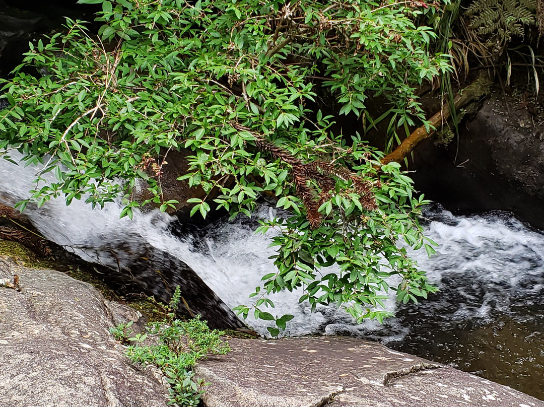 Parque Estadual Campos do Jordao-坎普斯－杜若尔当必去景点