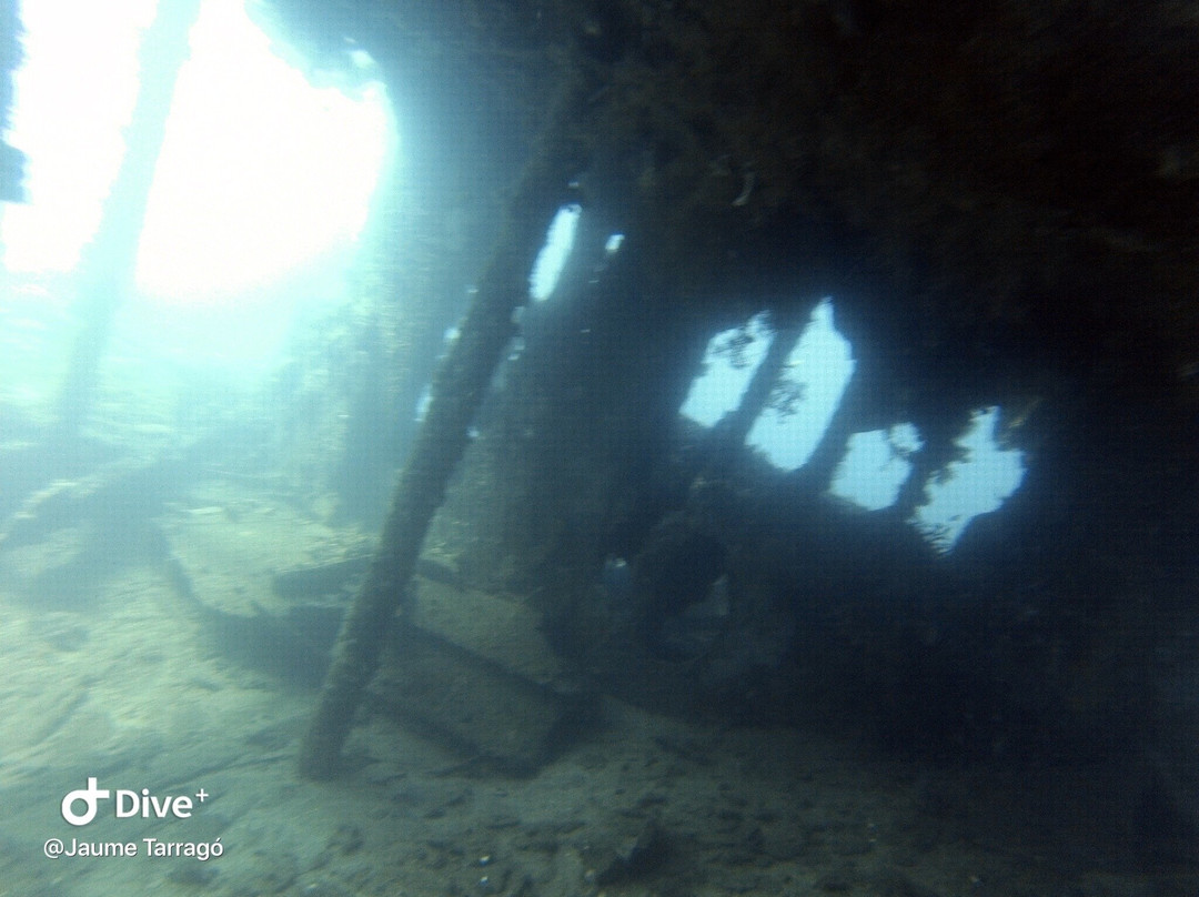 Amed Sea Stars Diving景点图片