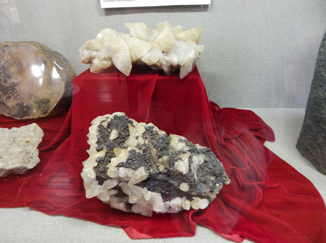 Alabama Museum of Natural History-塔斯卡卢萨县必去景点