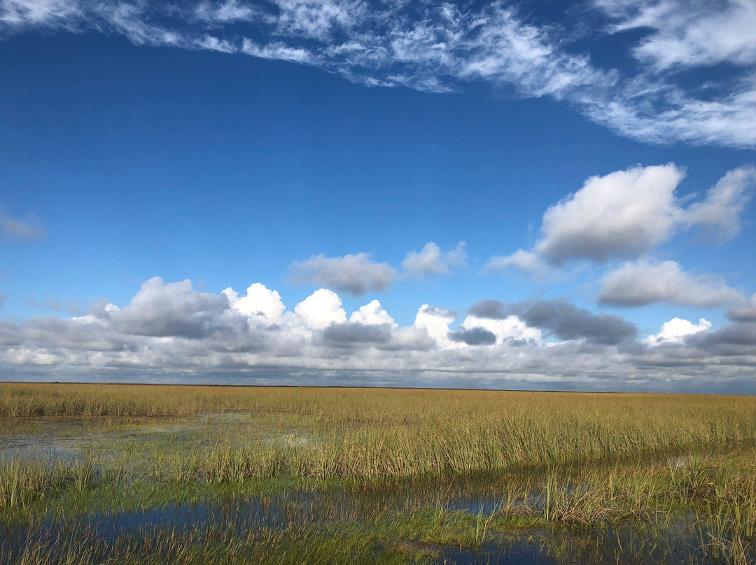 Airboat Ride West Palm Beach-西棕榈滩必去景点