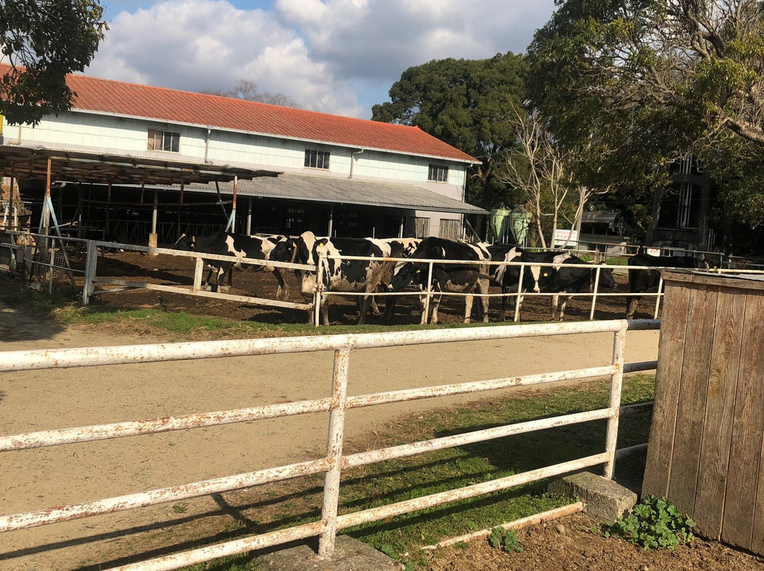 Awajishima Farm-南淡路市必去景点