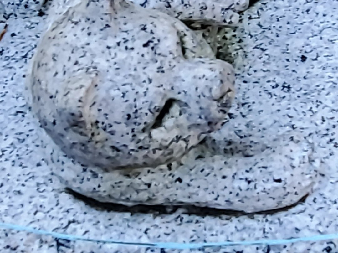 Muramatsu Daijingu-东海村必去景点