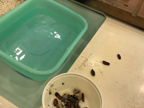 天厚绸庄-上海市必去景点