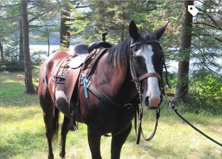 Adirondack Saddle Tours-Eagle Bay必去景点