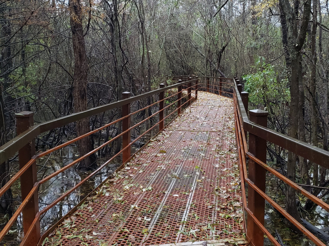 Big Oak Tree State Park-East Prairie必去景点