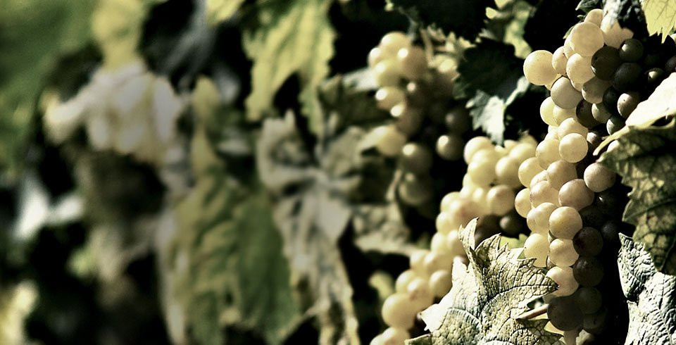 Bottignolo Valdobbiadene-Valdobbiadene必去景点