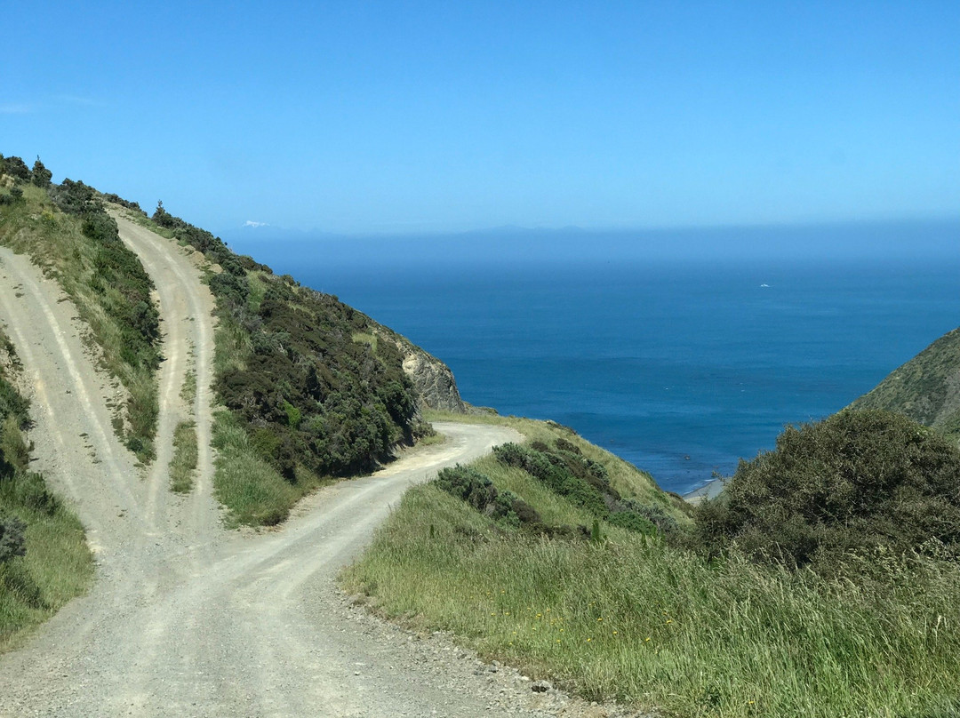 Princess Bay-惠灵顿必去景点