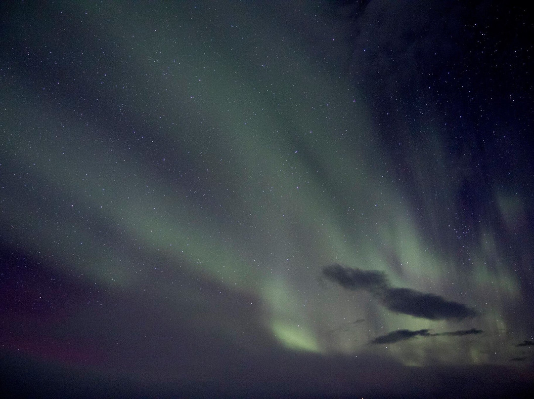 Kiruna Aurora Borealis - Northern Lights Tours景点图片