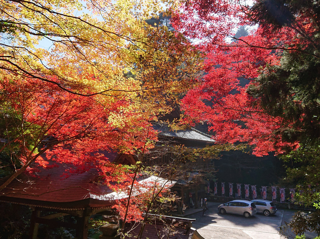 Senryuji Temple-四国中央市必去景点