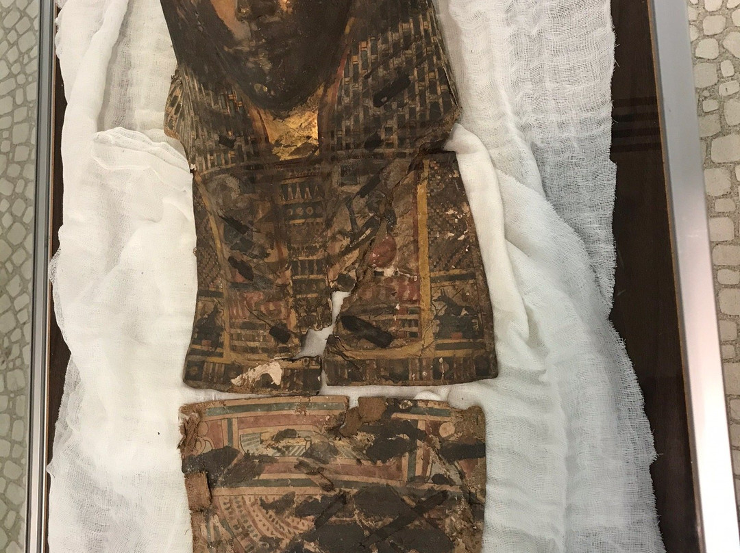 Cobb Museum of Archaeology景点图片