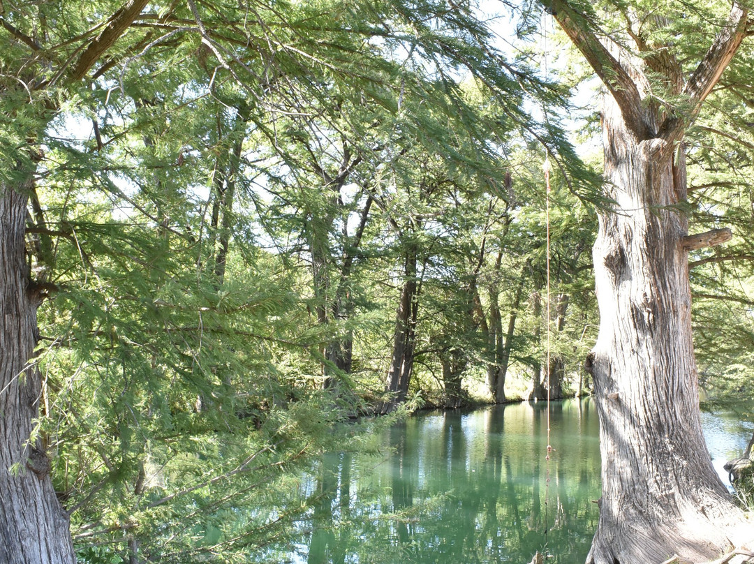 Medina River-Medina必去景点