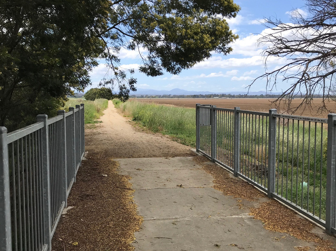 Rainbow Creek Bridge-Cowwarr必去景点