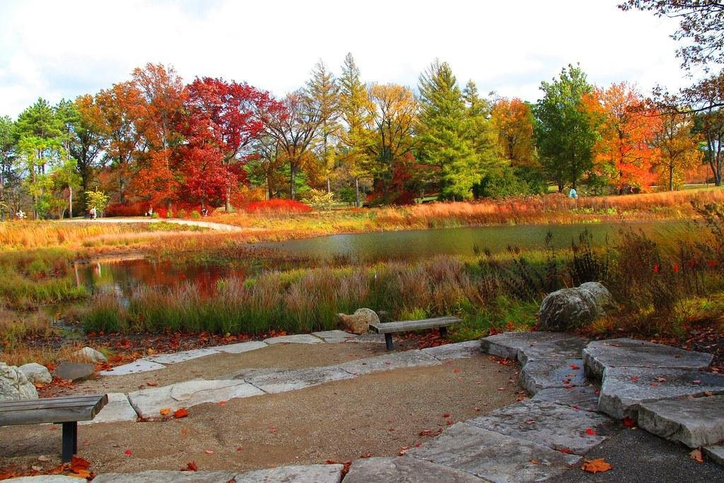 Beyond Chicago Day Tours-巴拉汀必去景点