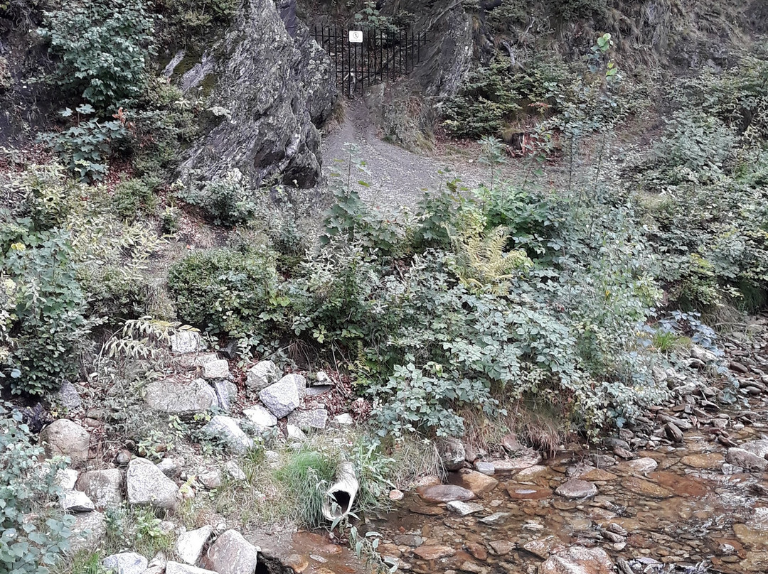 Grota Czerniawa景点图片