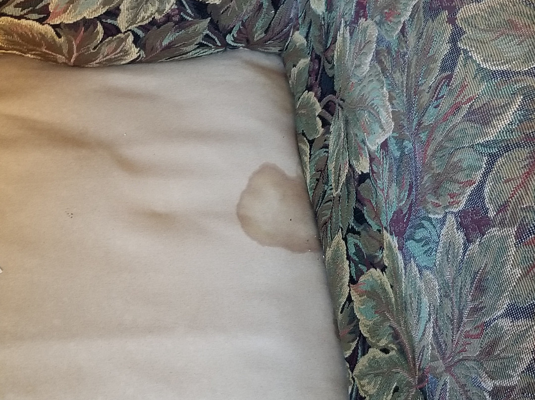 Red Roof Inn Winchester - Lexington East主图