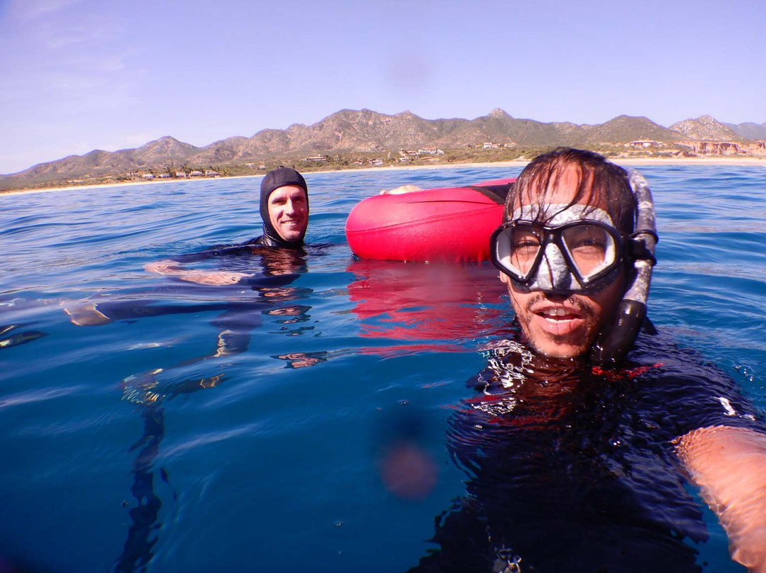 Freediving Cabo Pulmo-Cabo Pulmo必去景点