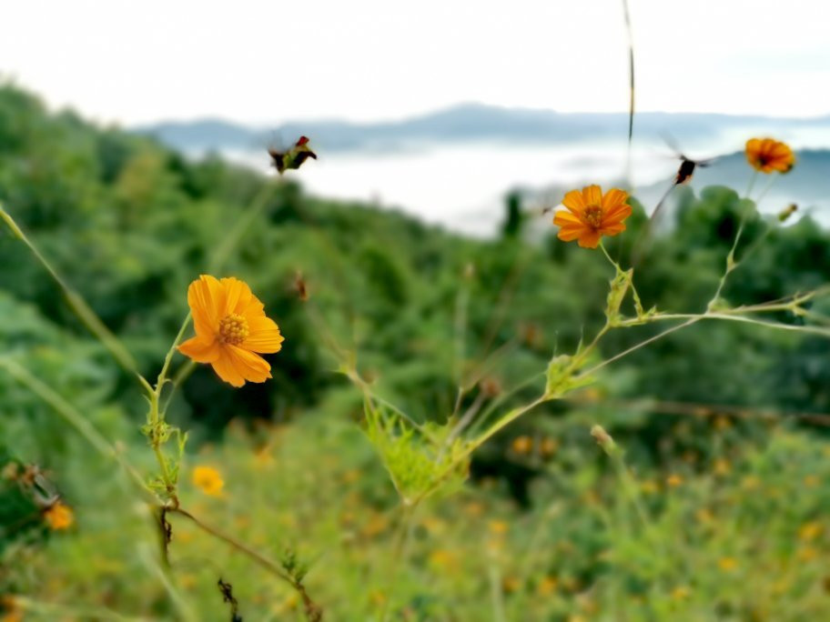 Home Stay Banna Ton Chan