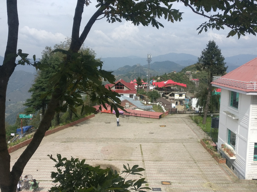 The Apple Blossom主图