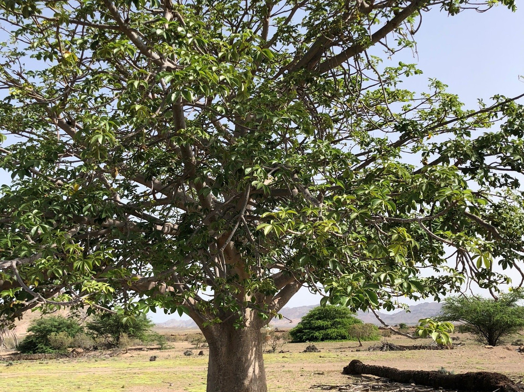 Migrante Guesthouse主图