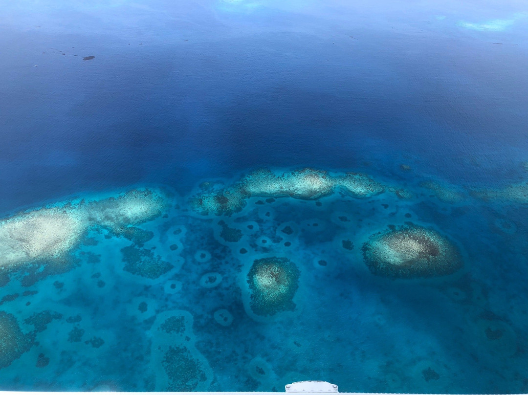 Turtle Airways-纳迪市必去景点