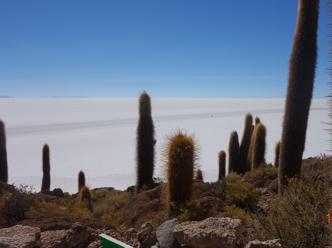 STRAWBERRY TRAVEL BOLIVIA景点图片