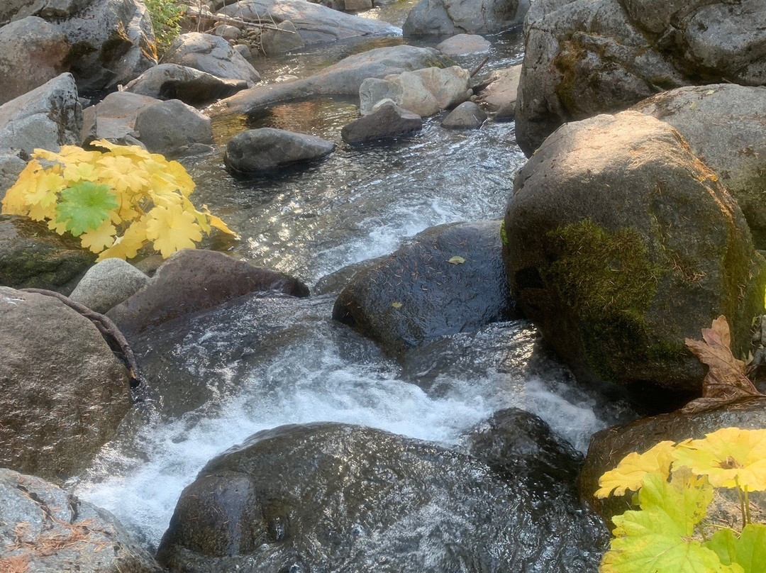 Carlon Falls Trail-格罗夫兰必去景点