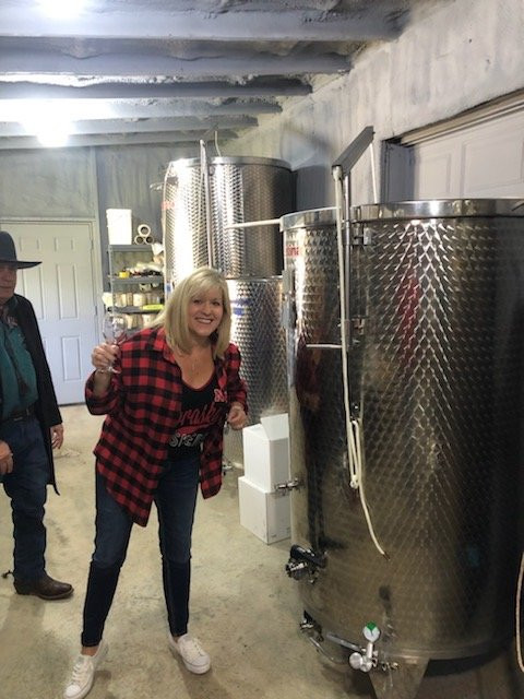 Four Horses and a Dog-Excelsior Springs必去景点