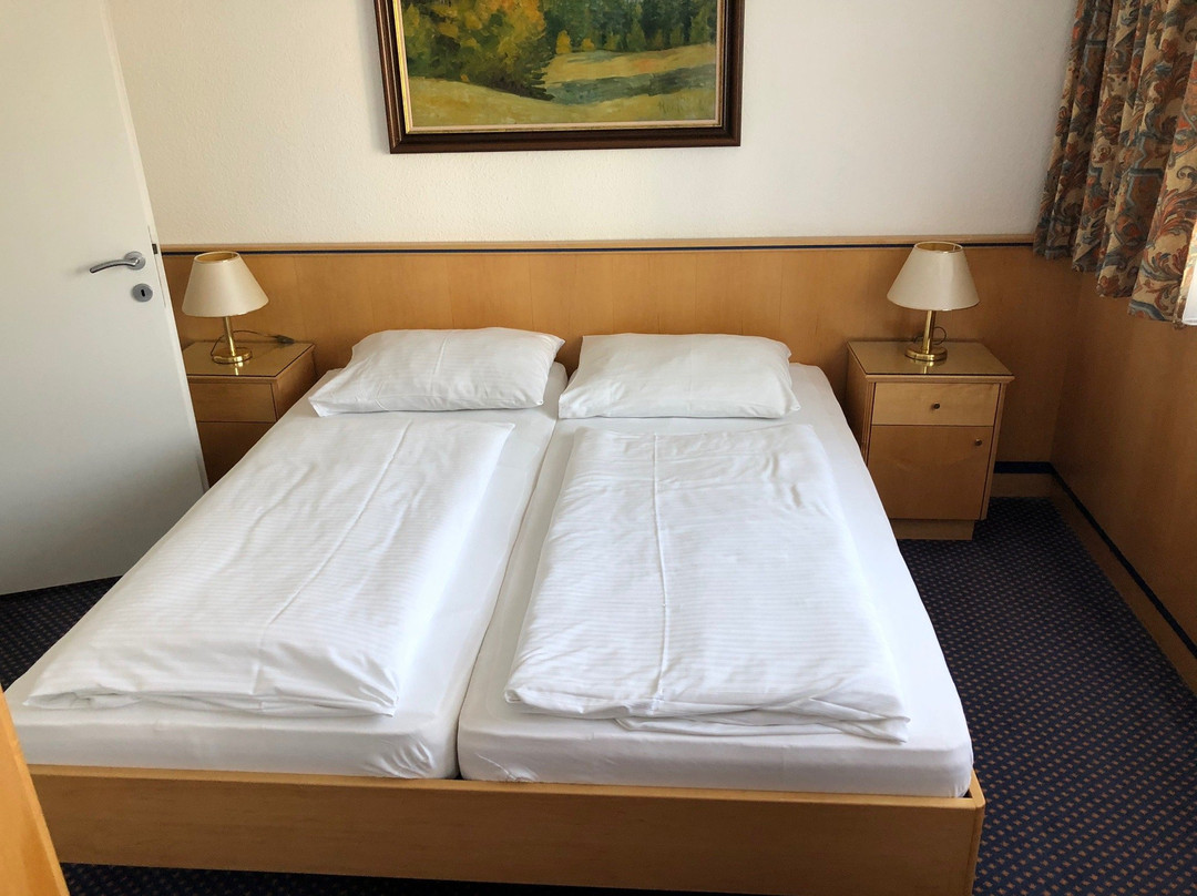 Parkhotel Styria主图