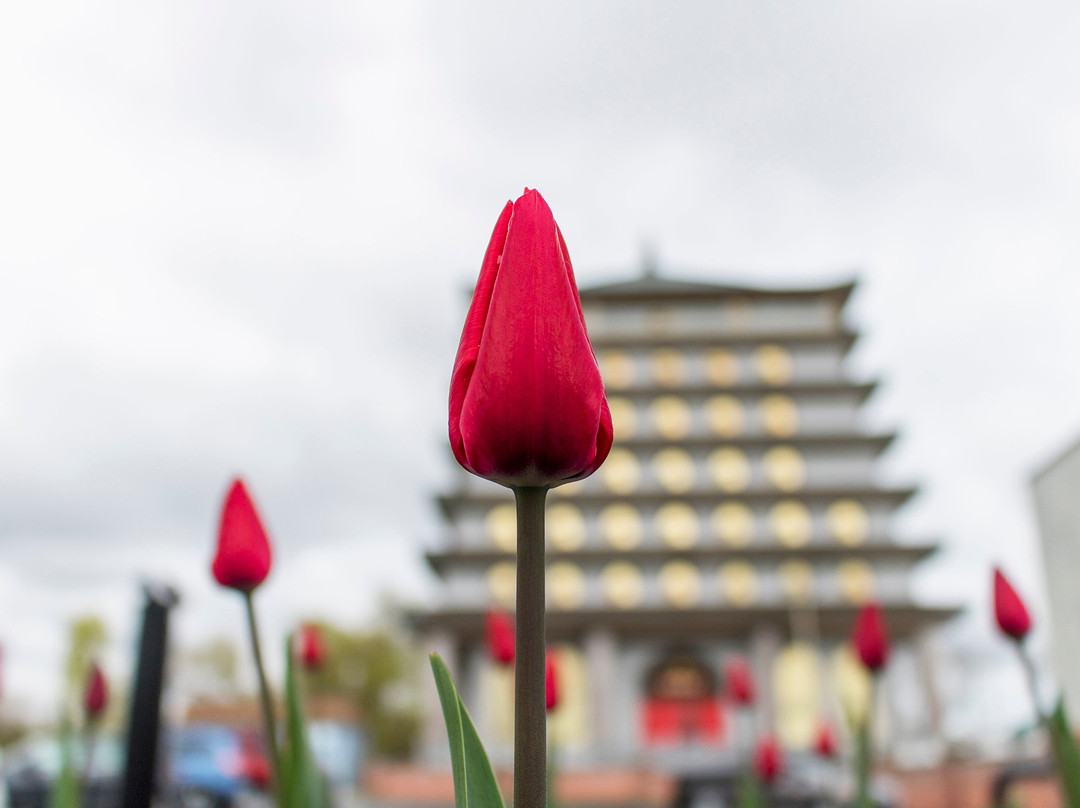 Cham Shan Temple景点图片