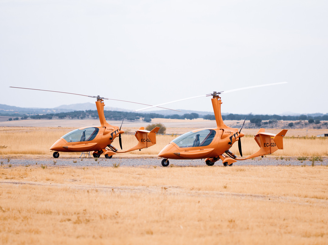 Falcon View Tours-科尔多瓦必去景点