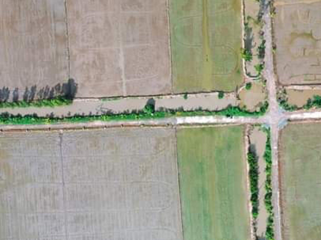 Thap Muoi旅游攻略图片