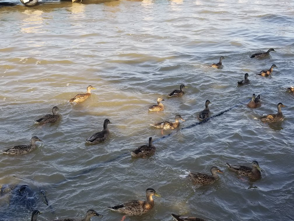 Riverside Marina Bar and Grill-Dayton必去景点