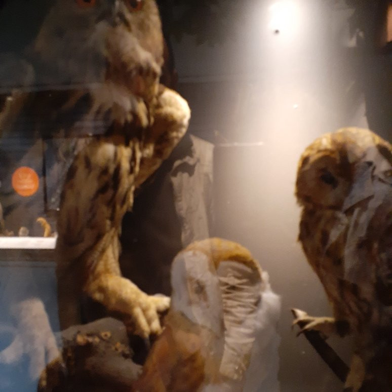 Planetarium Hubert Curien-第戎必去景点