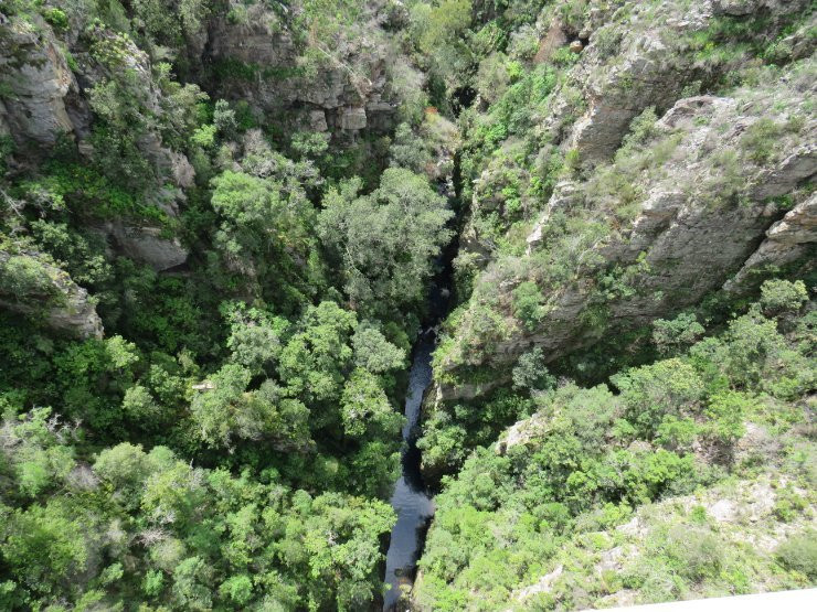 Storms River Bridge (Paul Sauer Bridge)景点图片