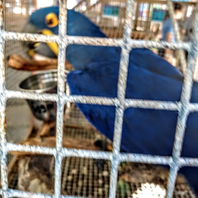 Gulf World Marine Park景点图片