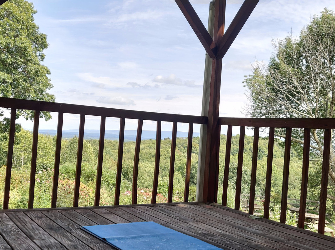 Woodbourne旅游攻略图片