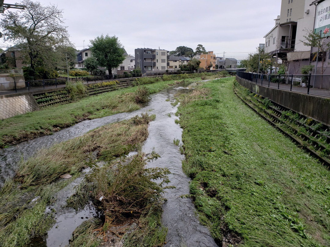 Nogawa River-三鹰市必去景点