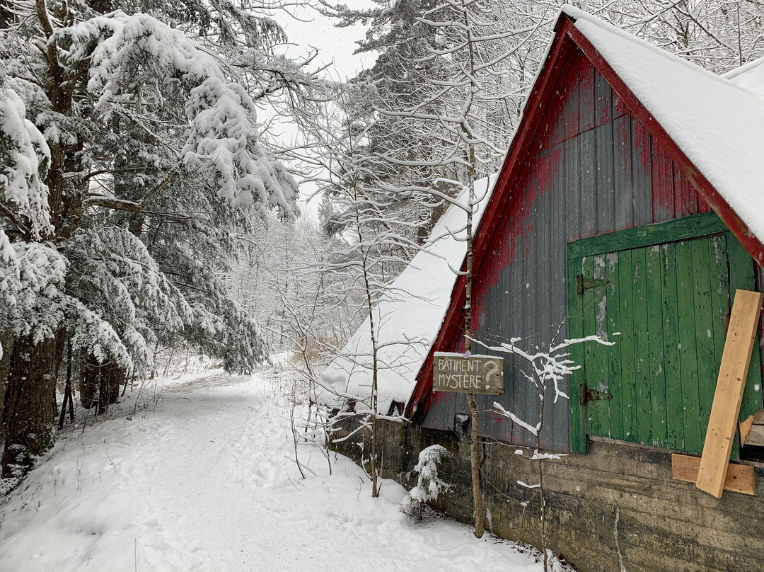 Marmite Aux Sorcières Sutton