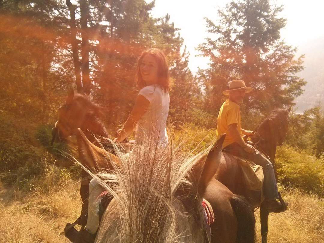 West Kootenay Tours-Salmo必去景点