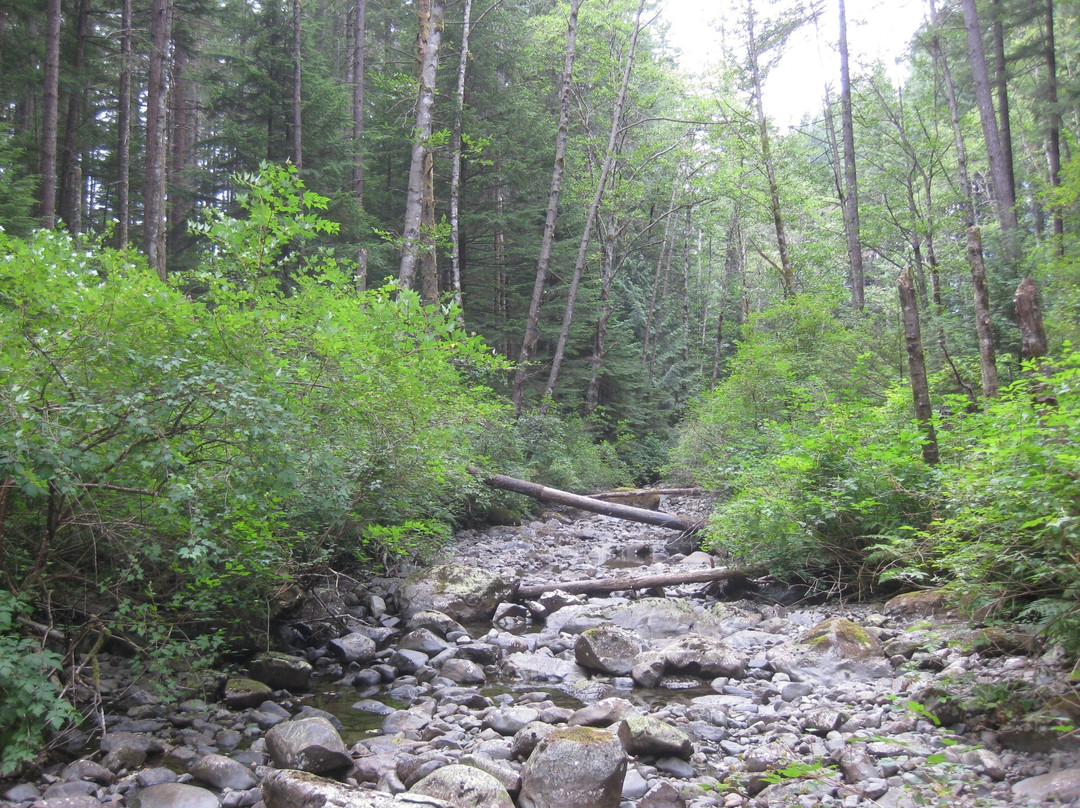 Menzies Mountain Trail景点图片