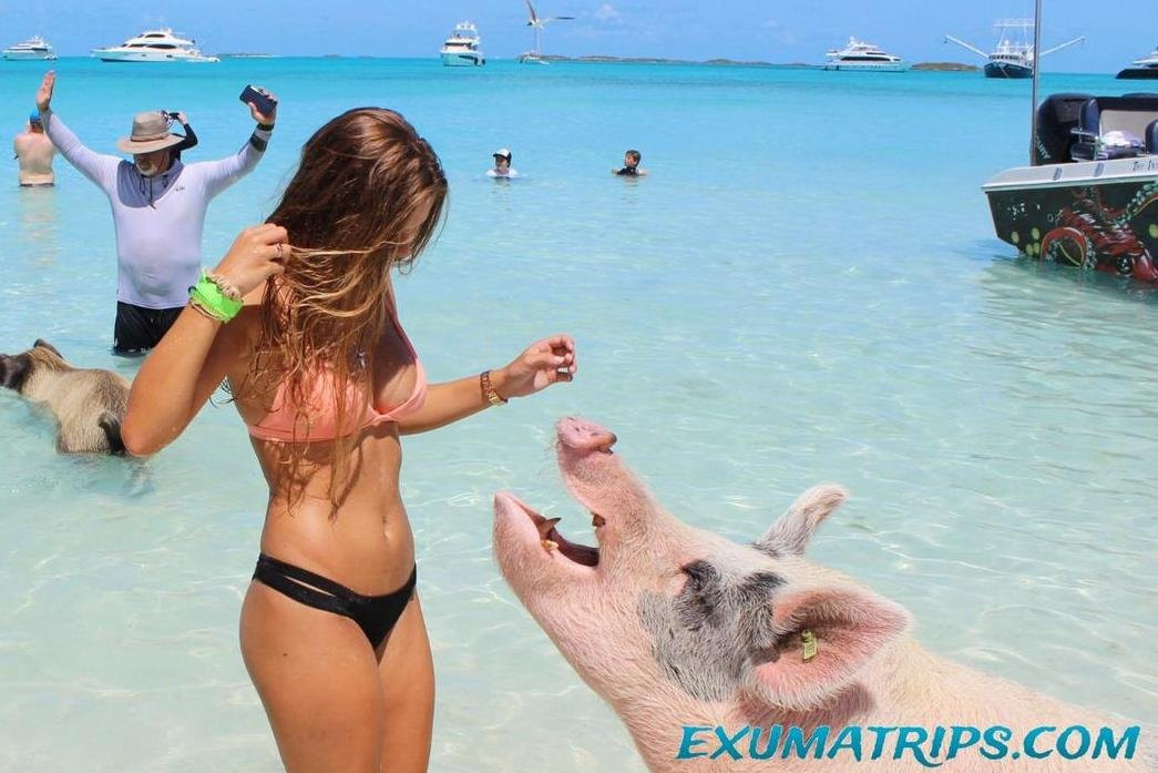 Exuma Trips and Tours-天堂岛必去景点